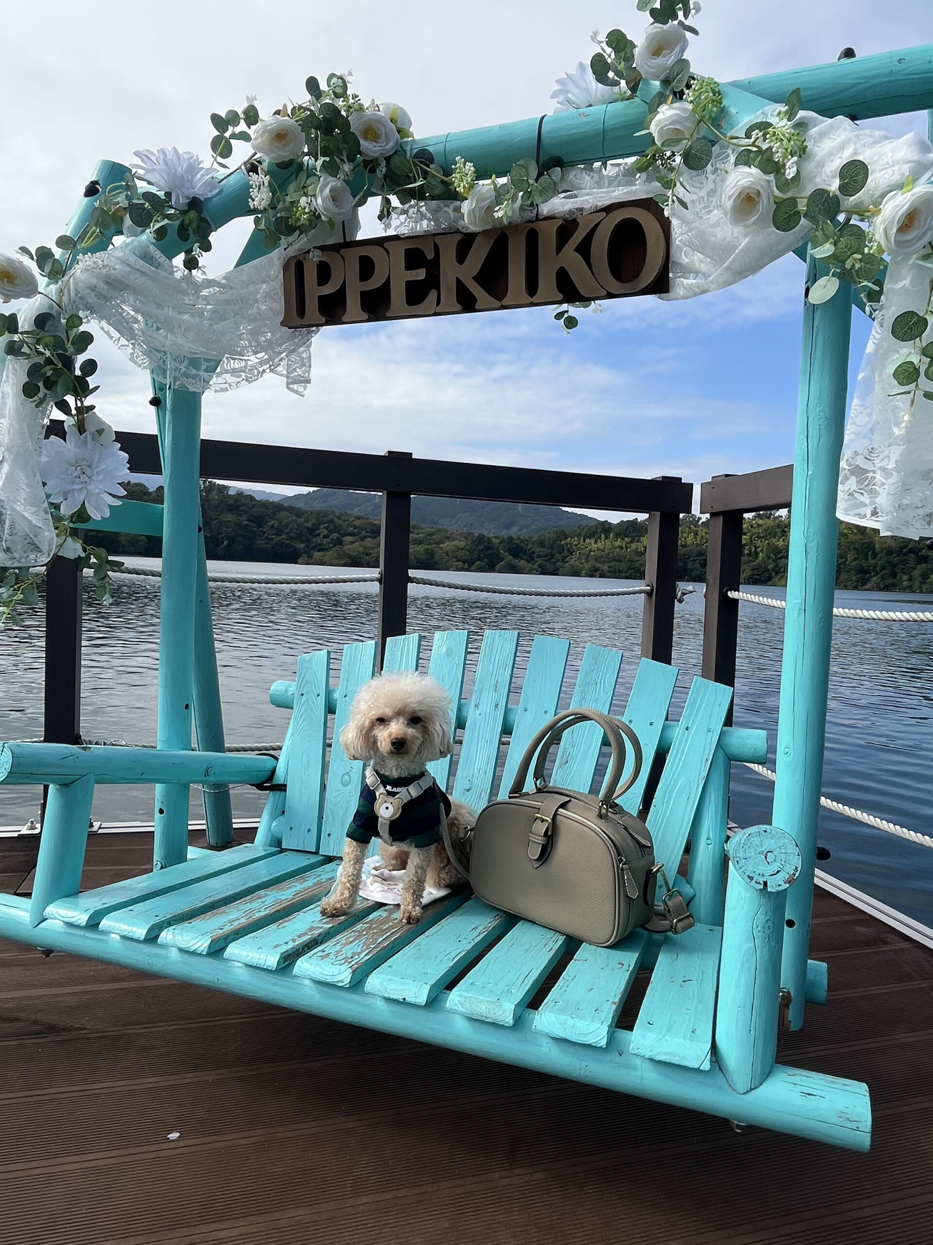 犬連れ 旅行 ショルダーバッグ 散策