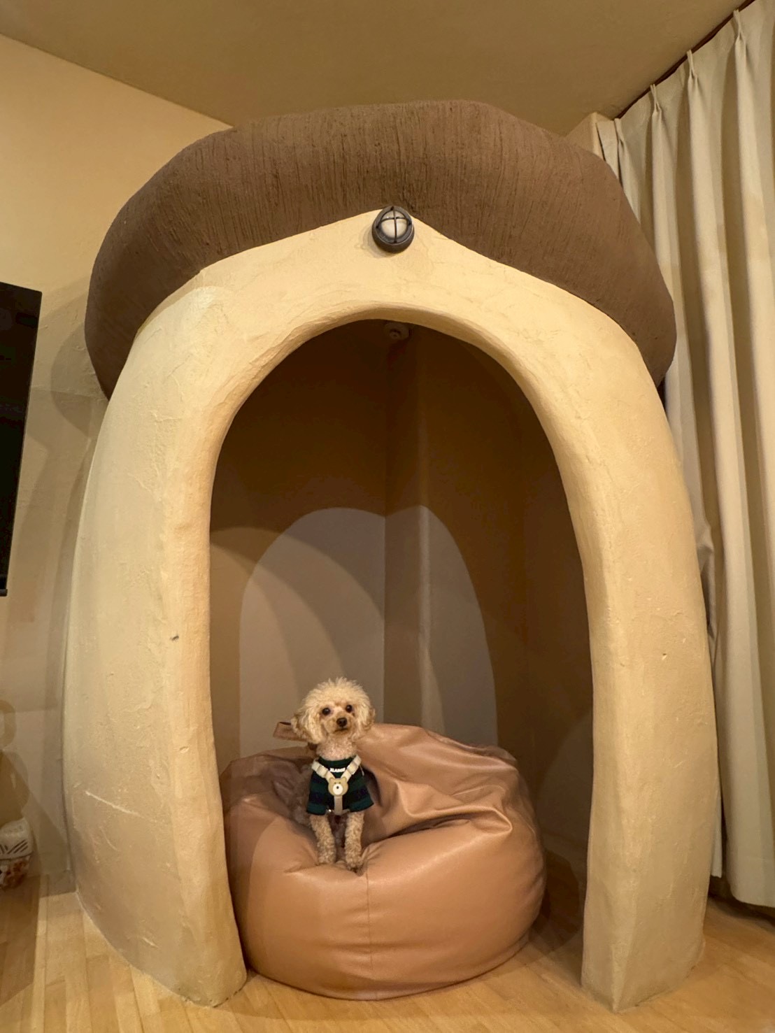 犬用 ベッド 旅行