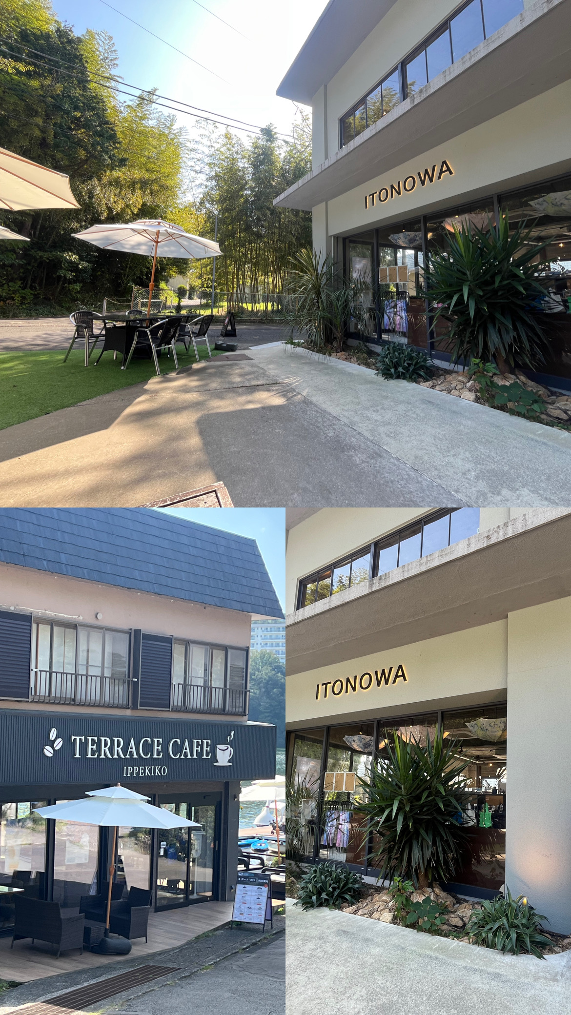 一碧湖 散策 犬連れ 旅