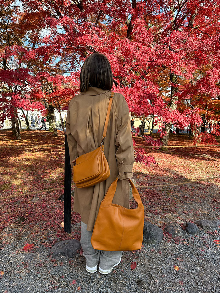 嵐山参道 ダークチェリー