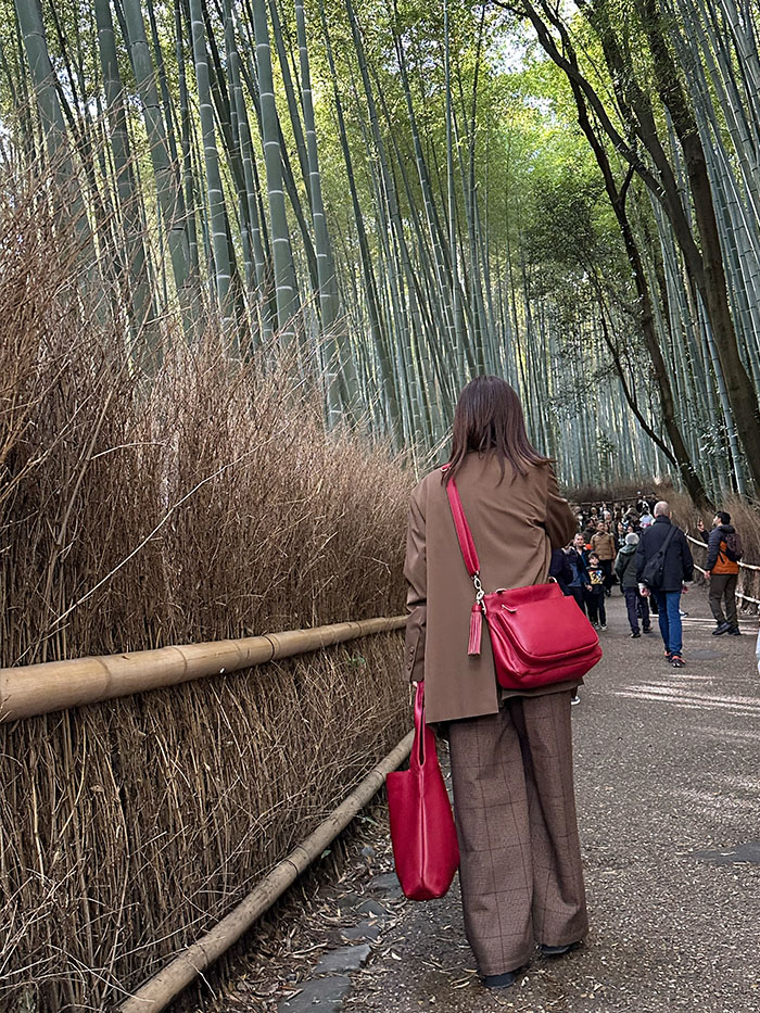 竹林 ダークチェリー バッグ