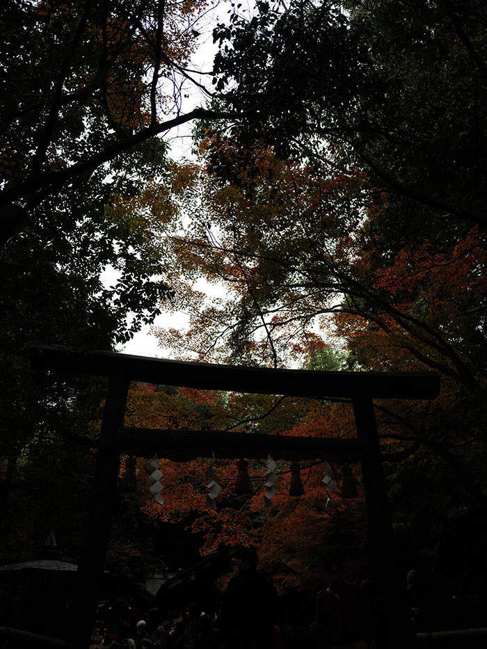 嵐山 竹林 散歩