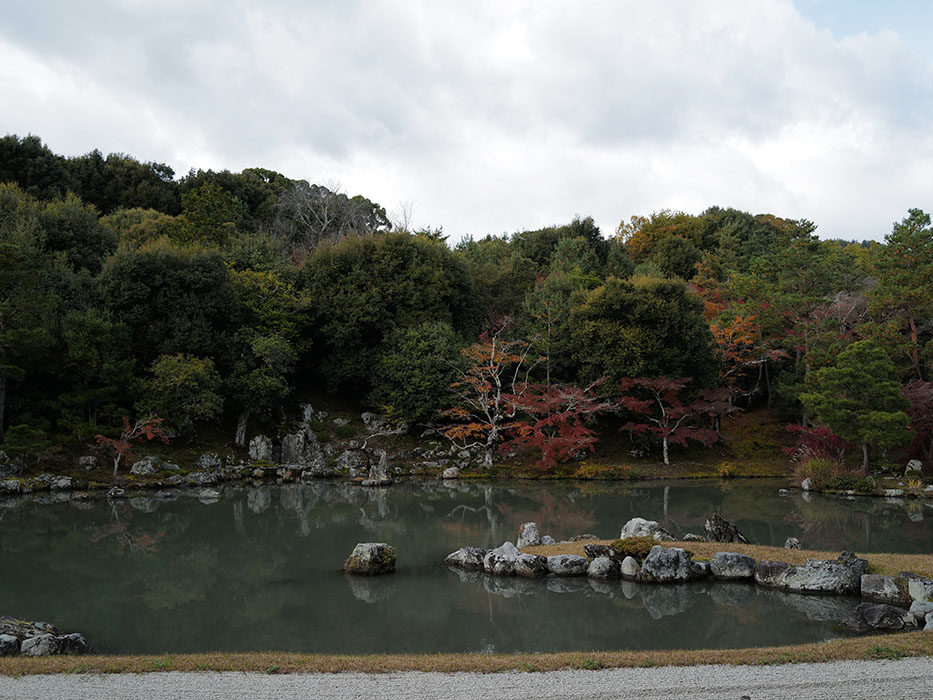 天龍寺 幻想的な庭園