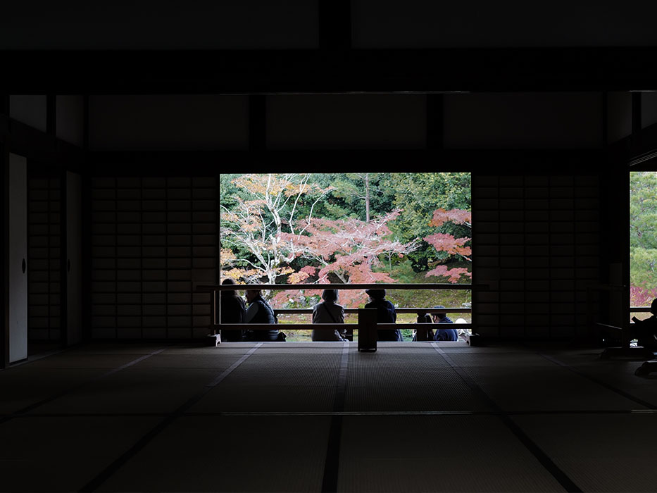 天龍寺 光の庭園