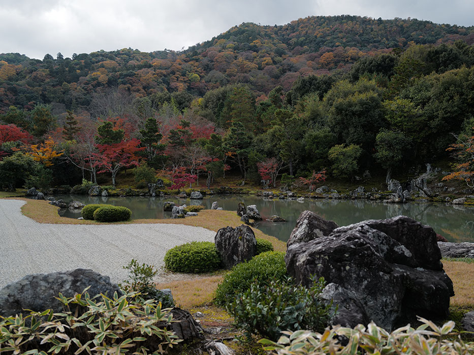 天龍寺 混雑 紅葉
