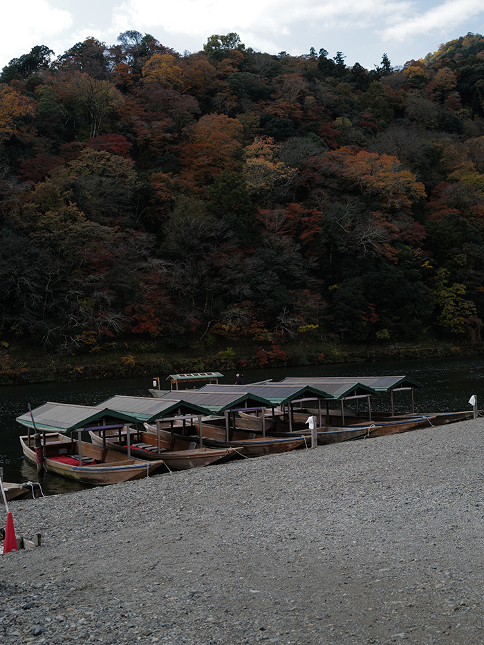 京都 嵐山 夕暮れ 散策風景
