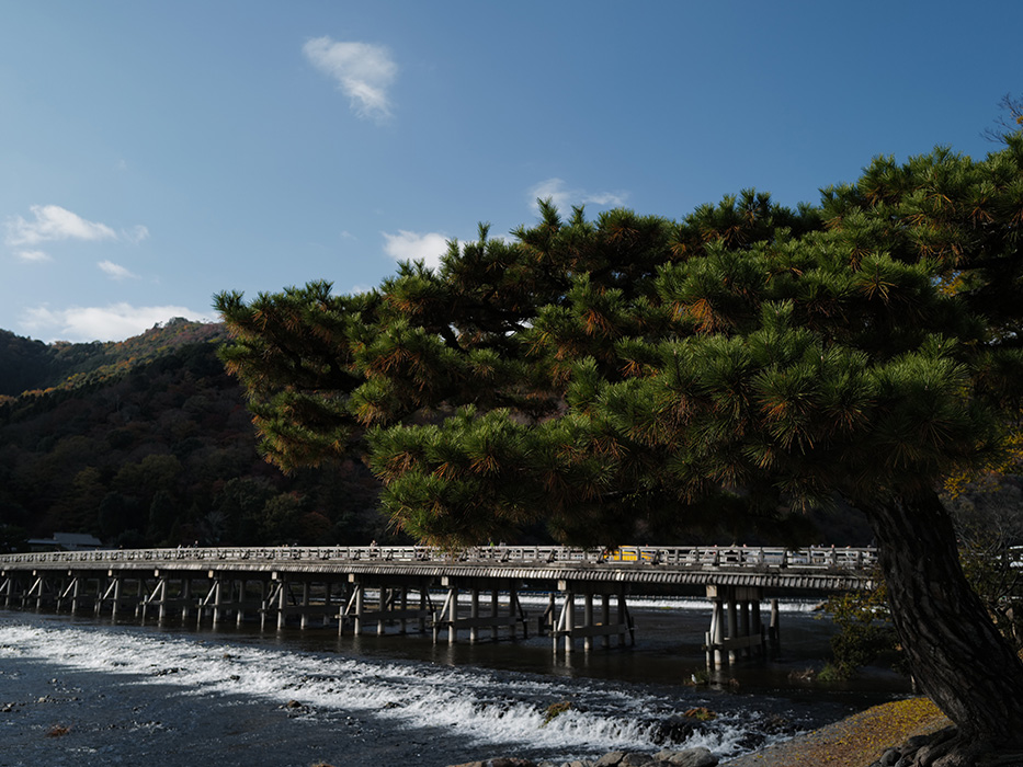 京都 嵐山 旅の終わりとレザーバッグ