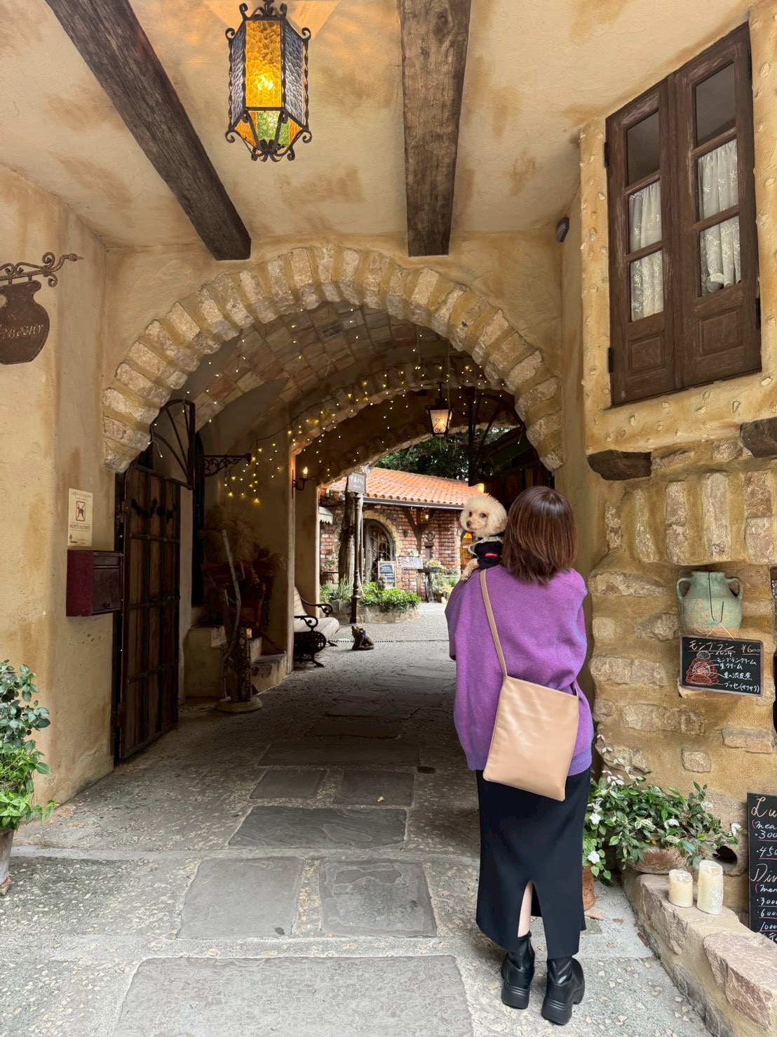 ぬくもりの森 犬散歩 スポット