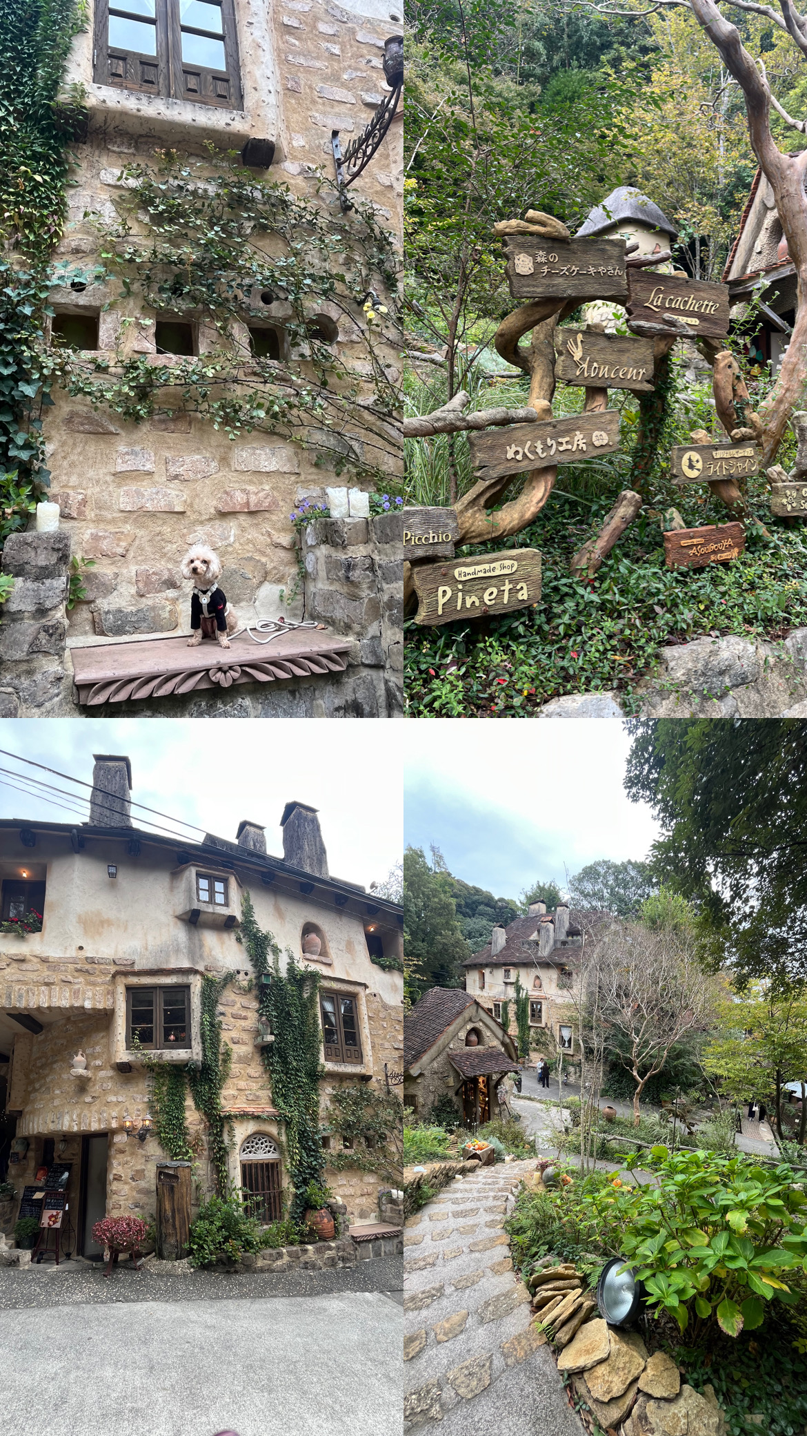 ぬくもりの森 犬連れ 観光スポット 可愛い 街並み