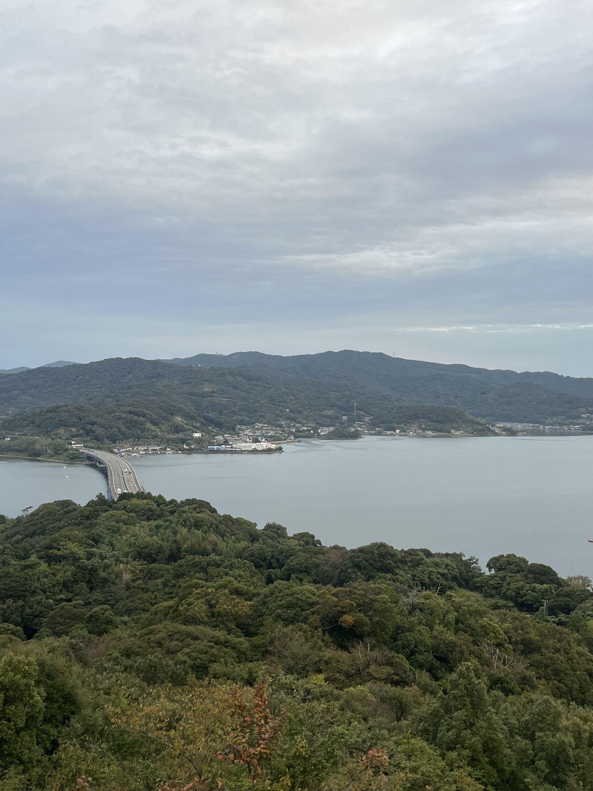 愛犬と行く 伊豆 浜名湖 旅行 最終日 朝日