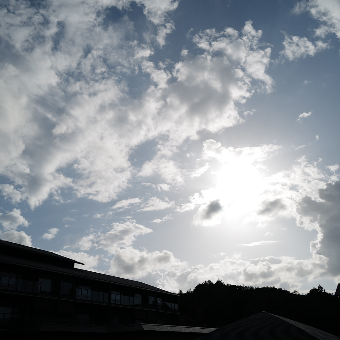 トンビが優雅に舞う伊勢志摩の空