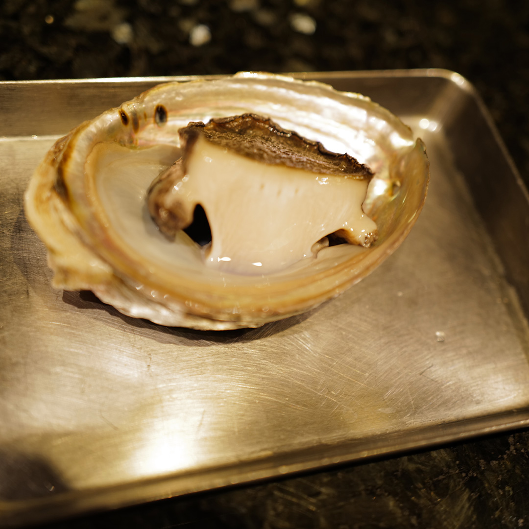 鳥羽で獲れた黒アワビ