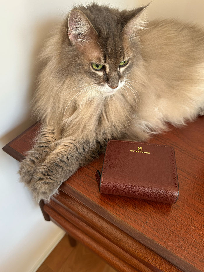 玄関に置かれたノートルファボリのショルダーバッグ・シルヴィ・ゼン、毎日の相棒バッグ