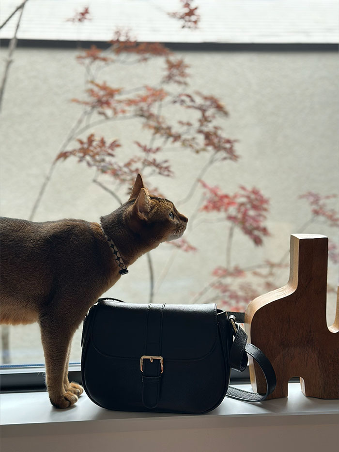 ノートルファボリのショルダーバッグ・シルヴィ・ゼンと愛猫、北欧ヴィンテージ家具が並ぶリビングの風景
