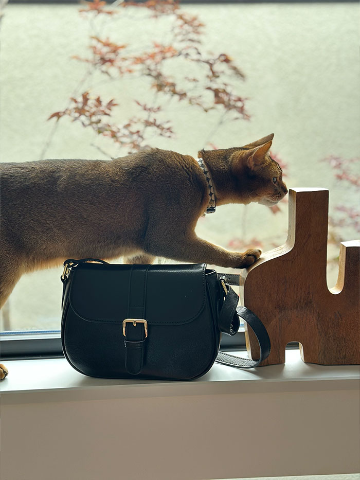 ノートルファボリのショルダーバッグ・シルヴィ・ゼンとトートバッグ・ロシェル・ゼンのブラウンとブラックを比較した写真