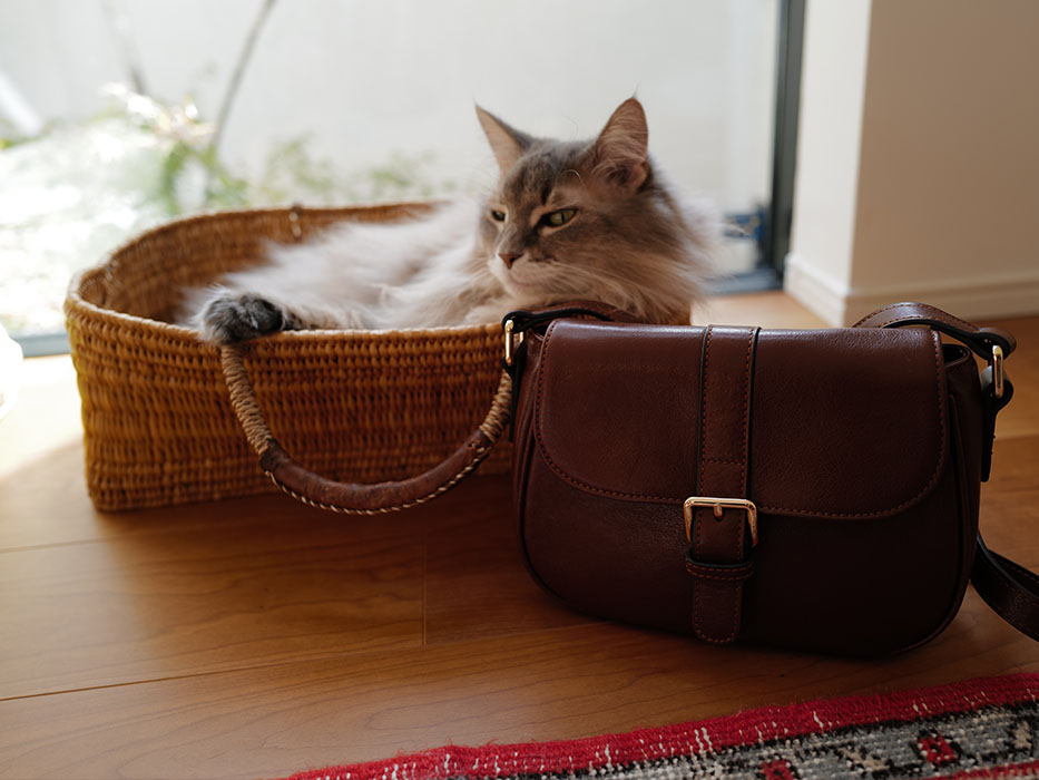 窓辺に置かれたブラックのノートルファボリのショルダーバッグ・シルヴィ・ゼン、柔らかい光を浴びて佇む