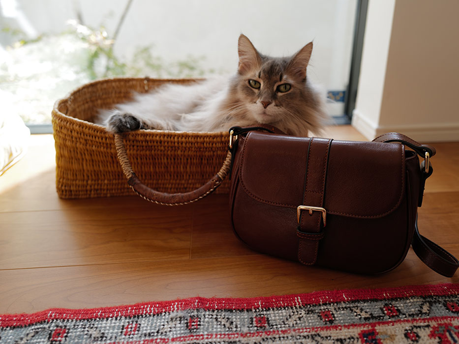 ブラウンのノートルファボリのトートバッグ・ロシェル・ゼンと猫の穏やかな暮らし