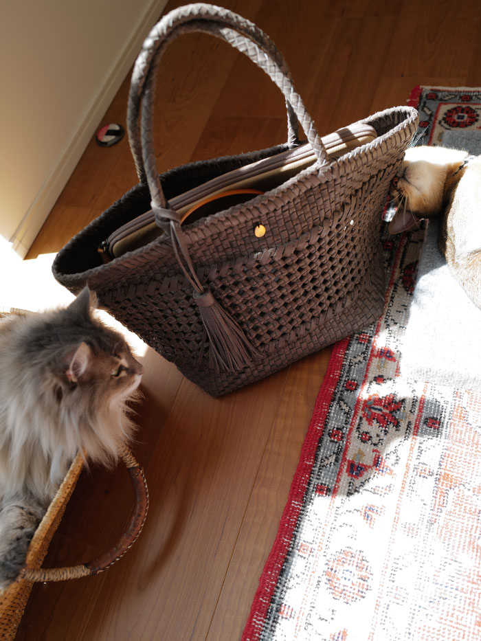 ノートルファボリのレザーメッシュバッグ カミーユを手に取るシーン