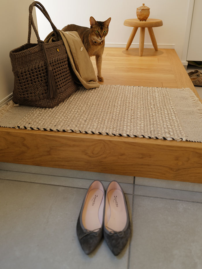 玄関に置かれたレザーメッシュバッグ カミーユと猫のある暮らし