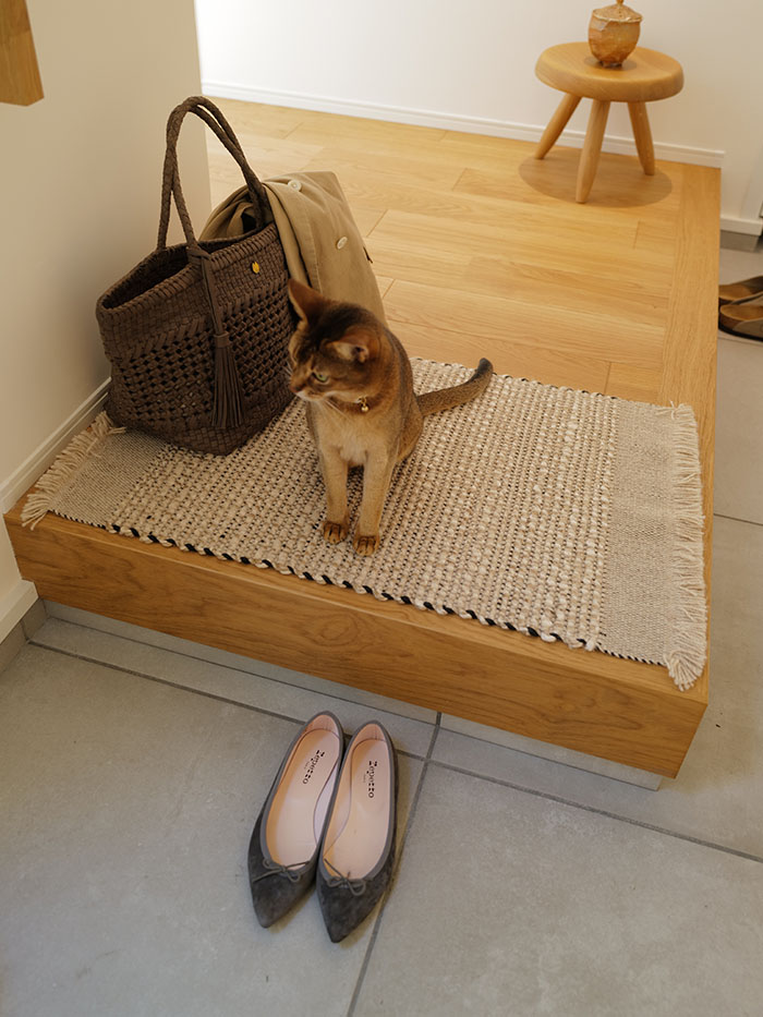 陽だまりの玄関に置かれたレザーメッシュバッグのある生活風景