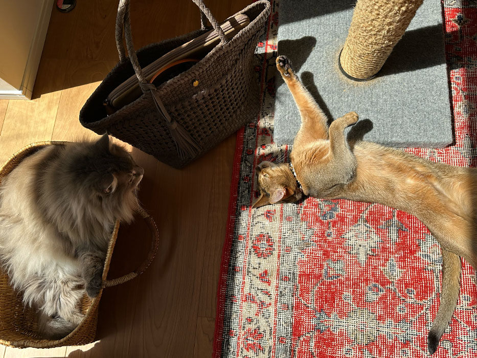 レザーメッシュバッグ カミーユのやわらかなフォルムと質感