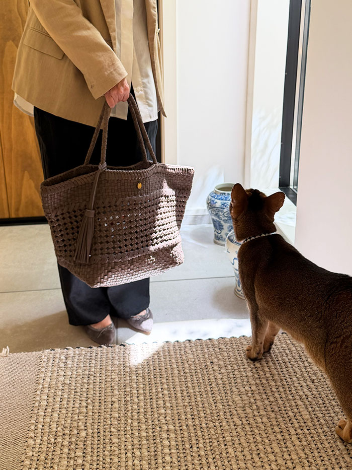 陽だまりの中に置かれたレザーメッシュバッグ カミーユのある暮らし