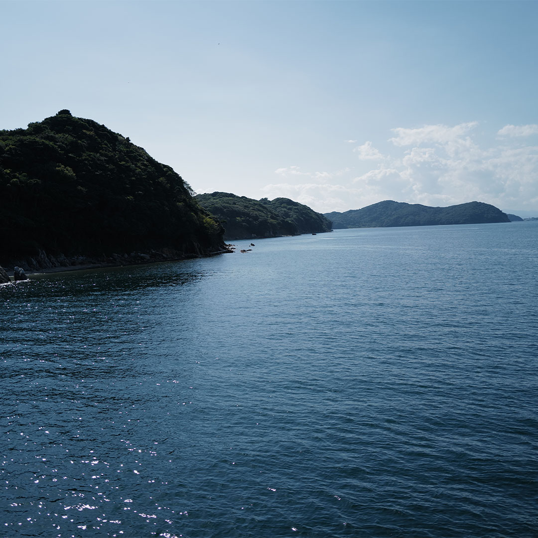 遊覧船「龍宮城」から眺める鳥羽湾の光と海