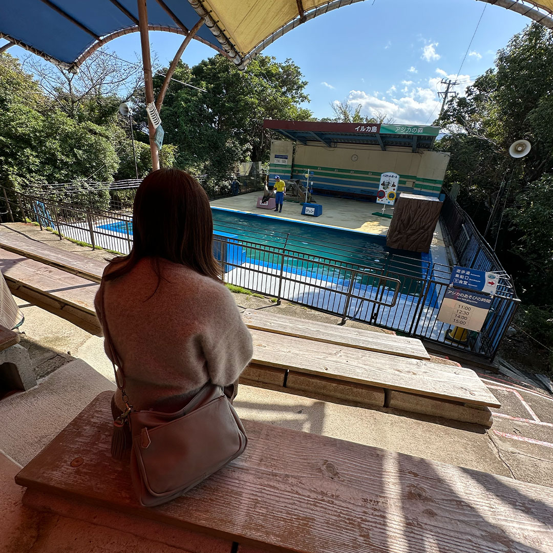 イルカ島でアシカショーを観覧する夫婦旅の50代女性と旅行ショルダーバッグ
