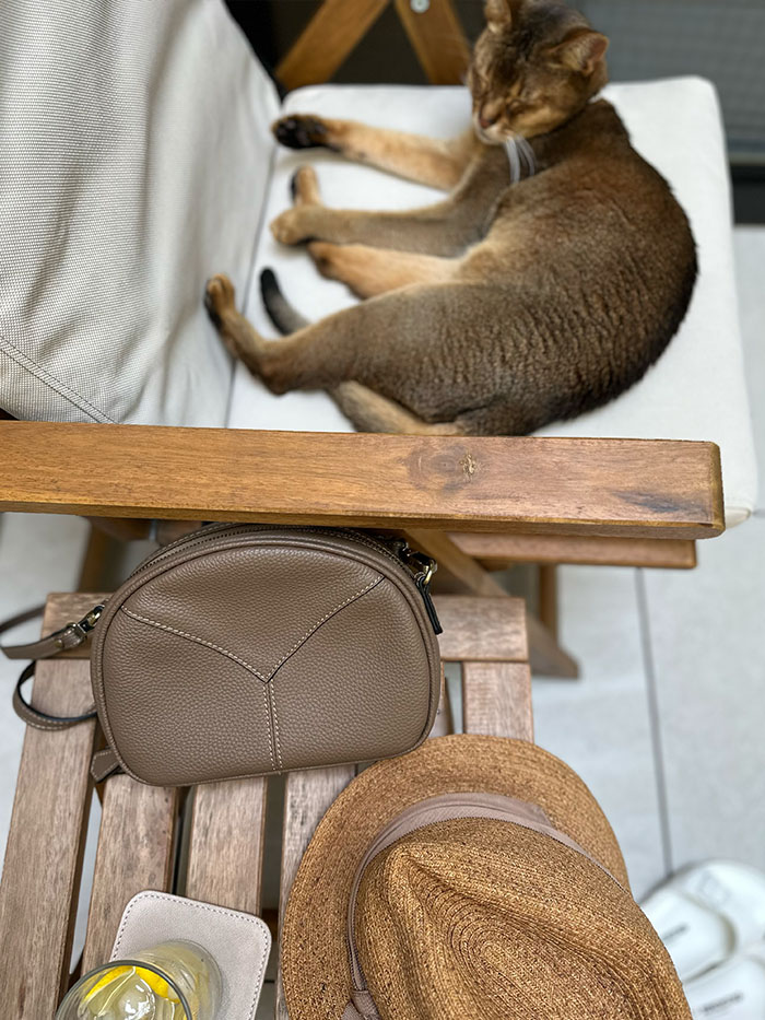木漏れ日の中でくつろぐ猫と本革ミニショルダーバッグ