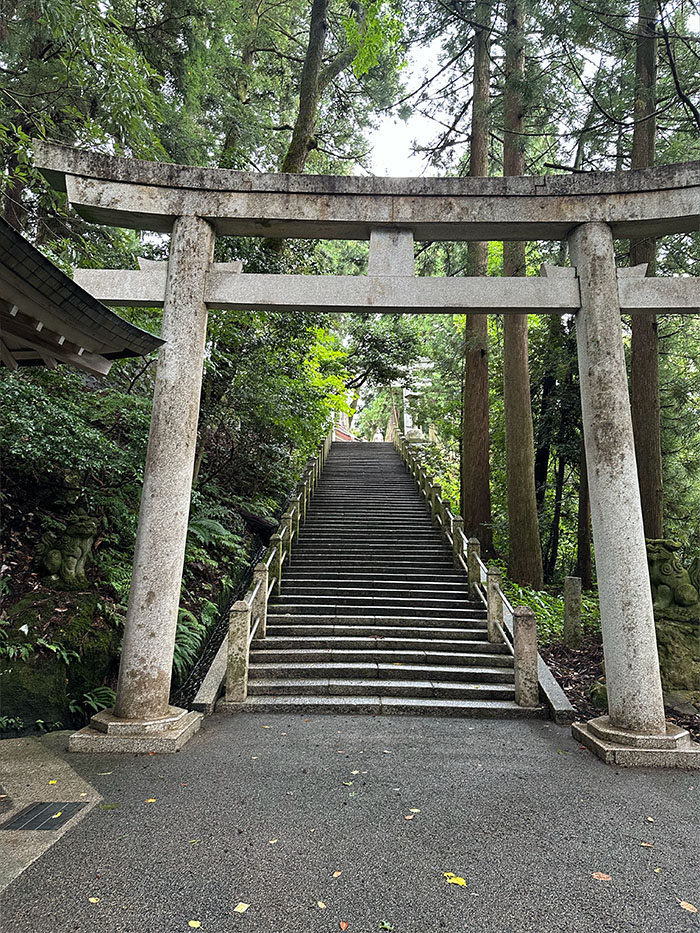 白山比咩神社の緑に囲まれた鳥居と石段